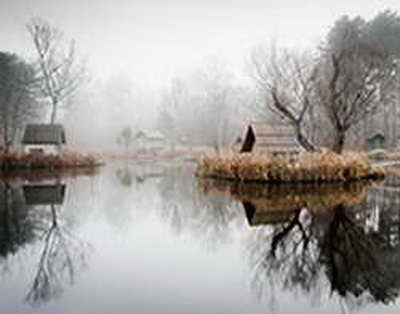 Trampın yeni planı nədir?