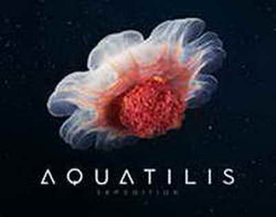 Мужтаба Хоминаий йўқолиши ортида жиддий саволлар пайдо бўлди